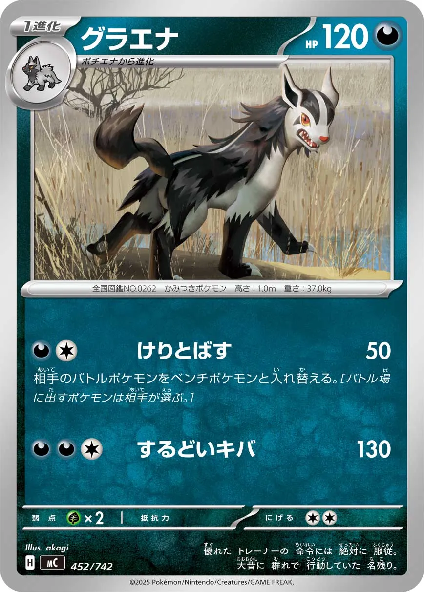 Mightyena Pokemon card