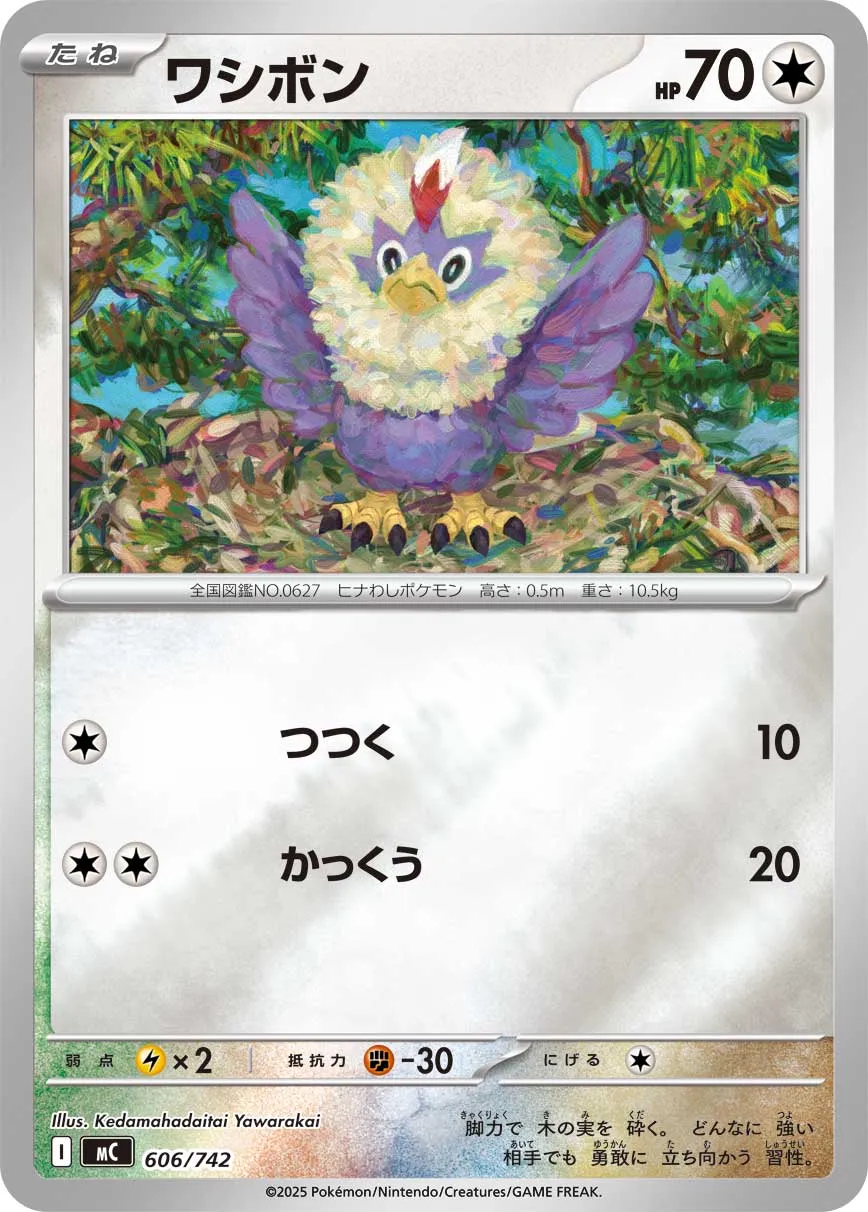 Rufflet Pokemon card