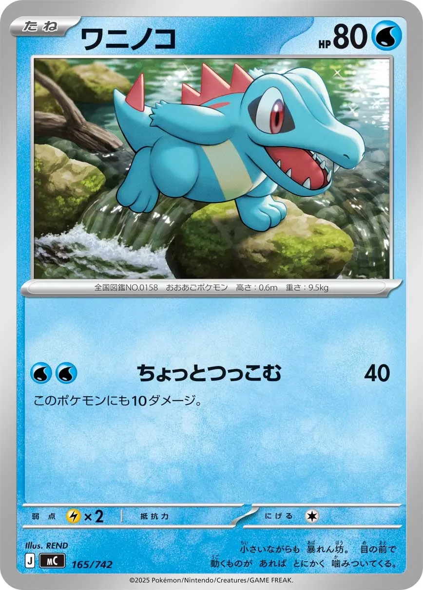 Totodile Pokemon card