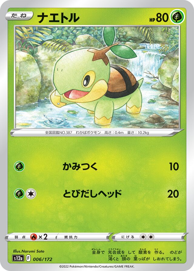 Turtwig Pokemon card