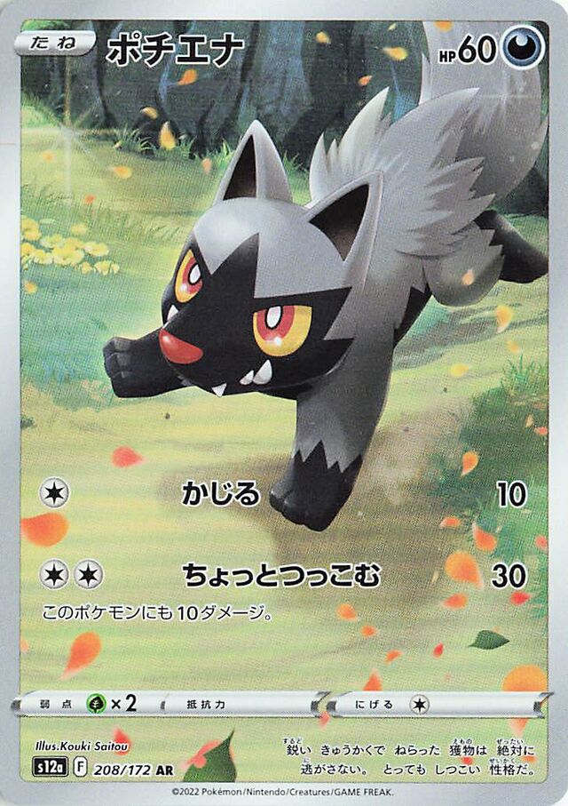 Poochyena Pokemon card