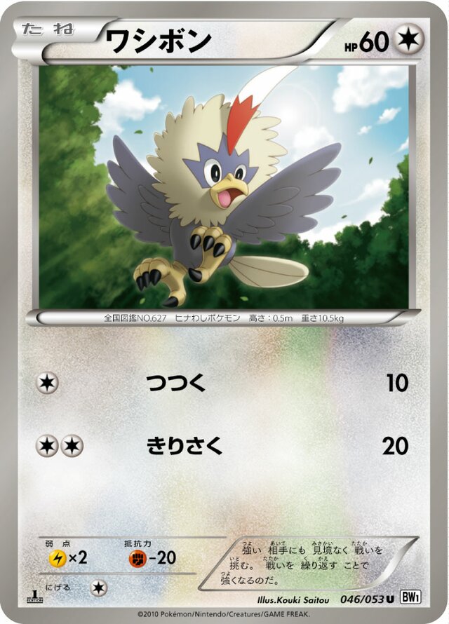 Rufflet Pokemon card