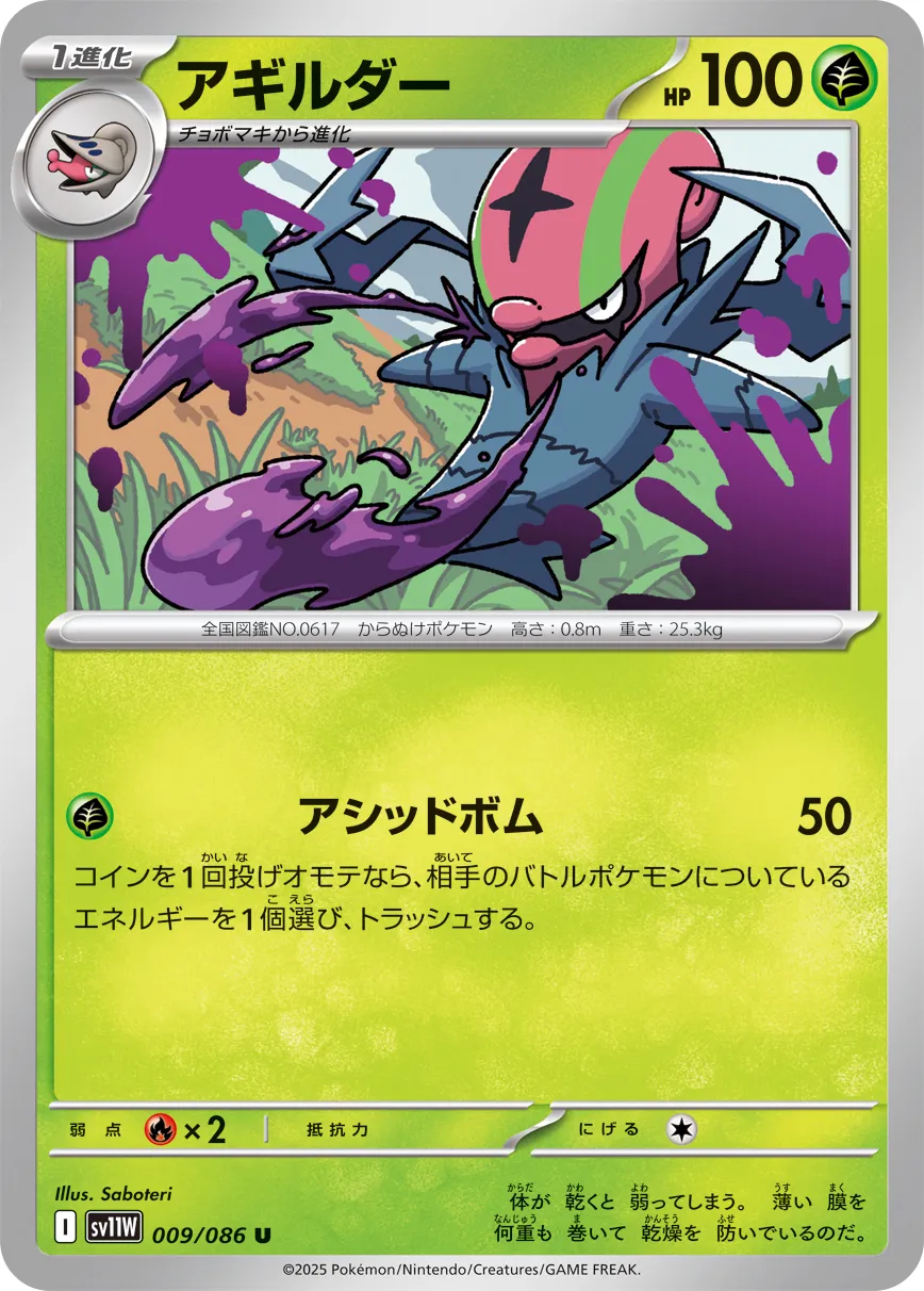 Accelgor Pokemon card