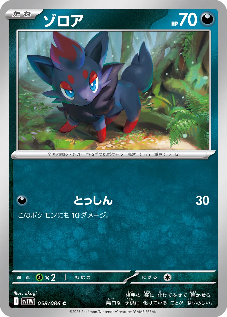 Zorua Pokemon card