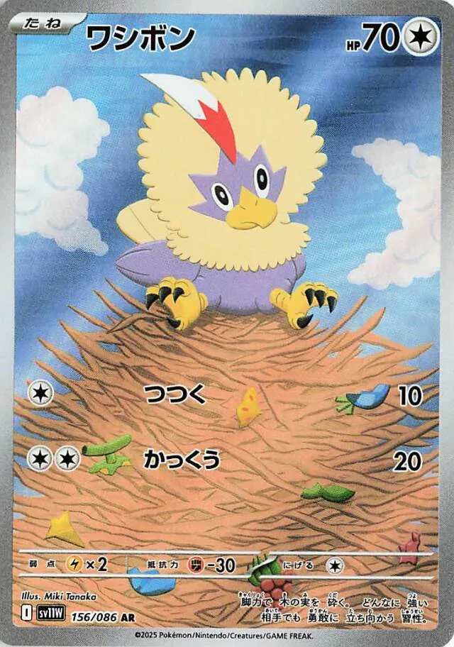 Rufflet Pokemon card