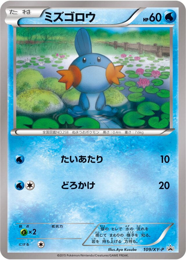 Mudkip Pokemon card